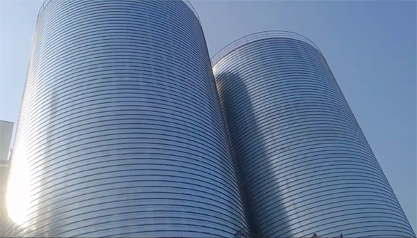 船山2座混凝土高架卷板仓